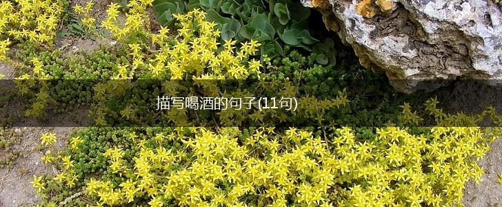 描写喝酒的句子(11句),第1张