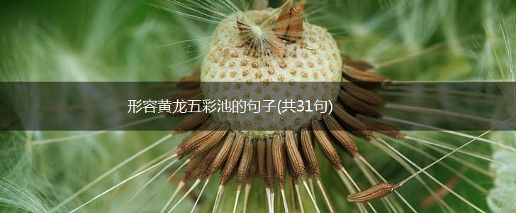 形容黄龙五彩池的句子(共31句),第1张