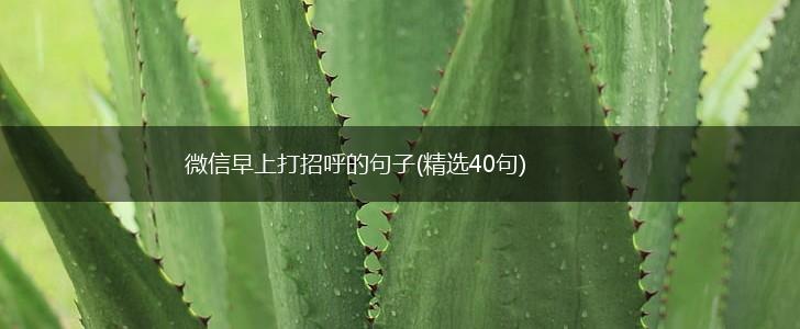 微信早上打招呼的句子(精选40句),第1张