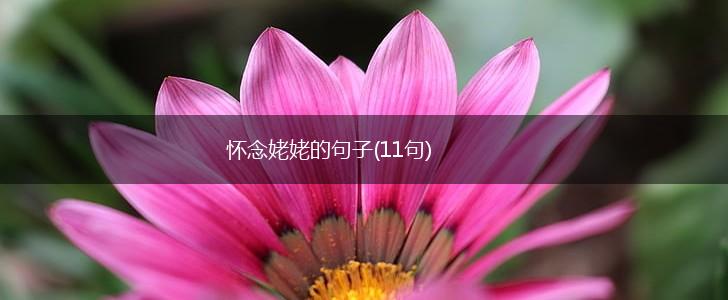 怀念姥姥的句子(11句),第1张