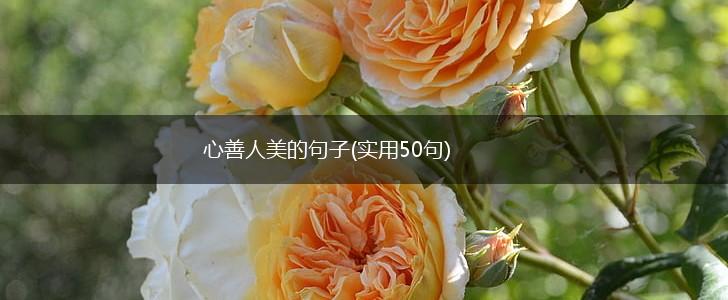 心善人美的句子(实用50句),第1张