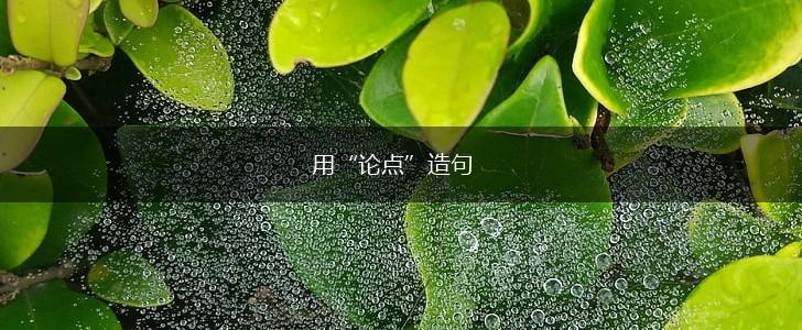 用“论点”造句,第1张