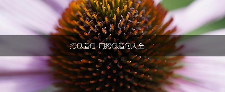 挎包造句_用挎包造句大全,第1张