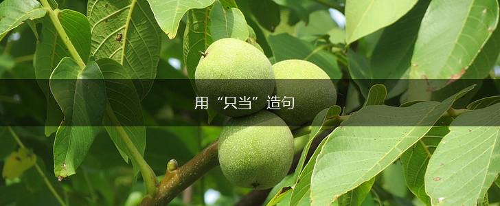 用“只当”造句,第1张