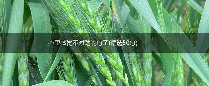 心里感觉不对劲的句子(精选50句),第1张