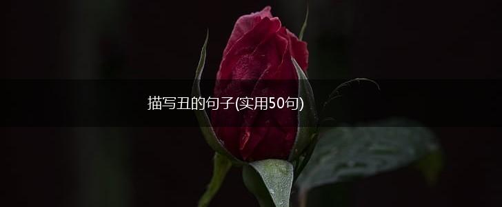 描写丑的句子(实用50句),第1张