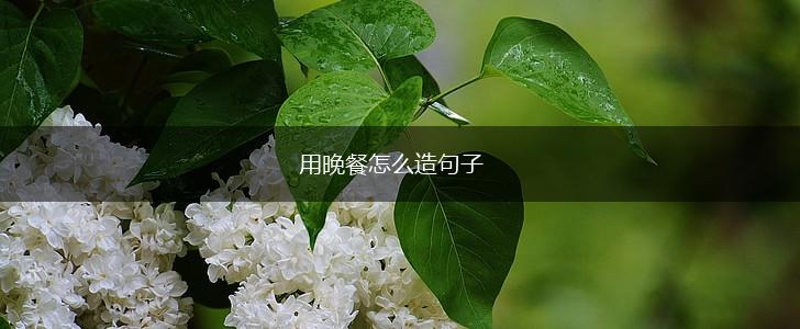 用晚餐怎么造句子,第1张