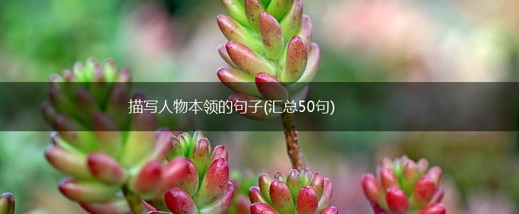 描写人物本领的句子(汇总50句),第1张
