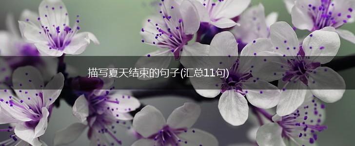 描写夏天结束的句子(汇总11句),第1张