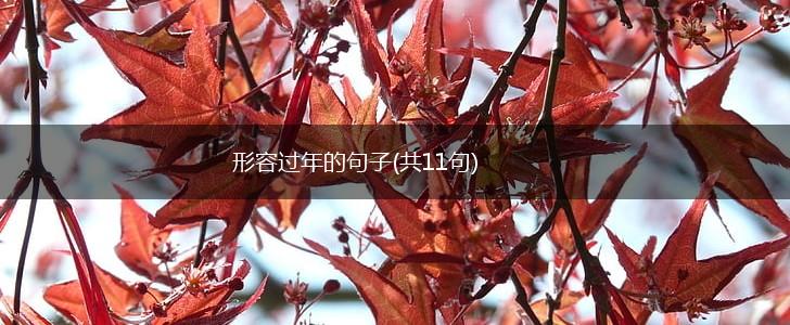 形容过年的句子(共11句),第1张