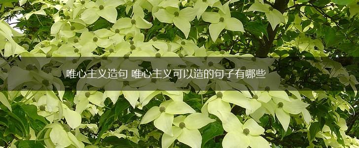 唯心主义造句 唯心主义可以造的句子有哪些,第1张