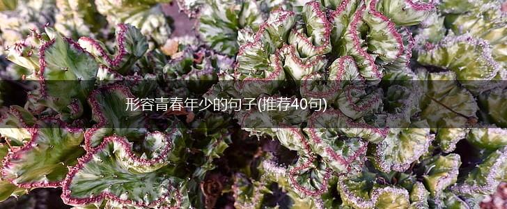 形容青春年少的句子(推荐40句),第1张