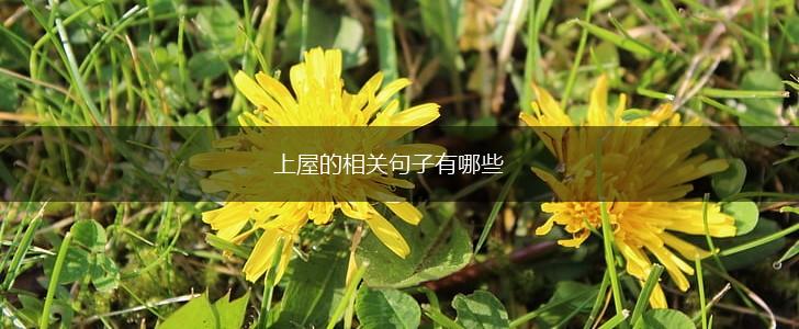 上屋的相关句子有哪些,第1张