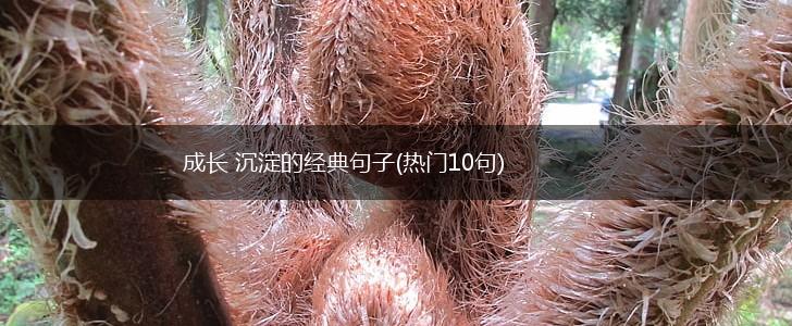 成长 沉淀的经典句子(热门10句),第1张