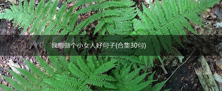 我想做个小女人好句子(合集30句),第1张