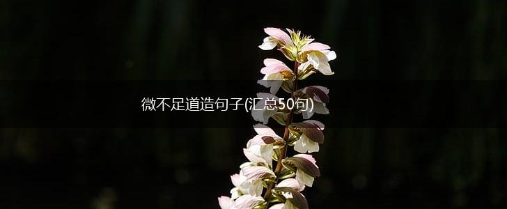 微不足道造句子(汇总50句),第1张