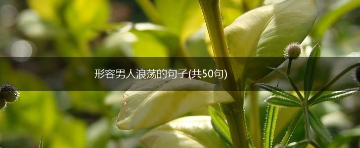 形容男人浪荡的句子(共50句),第1张