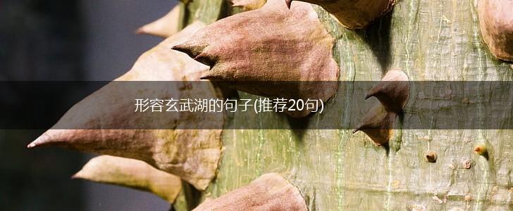 形容玄武湖的句子(推荐20句),第1张