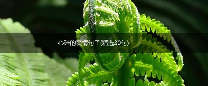 心碎的爱情句子(精选30句),第1张 心碎的爱情句子(精选30句),第1张