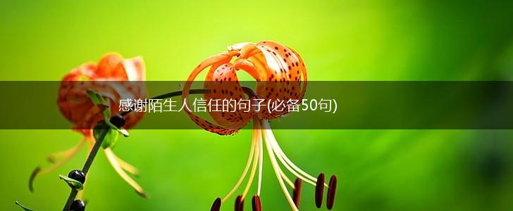 感谢陌生人信任的句子(必备50句),第1张
