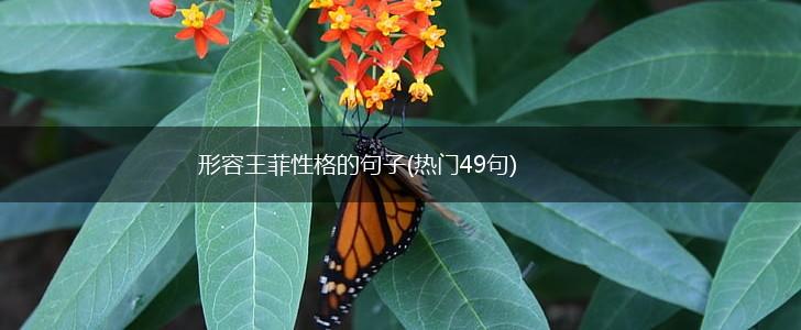 形容王菲性格的句子(热门49句),第1张