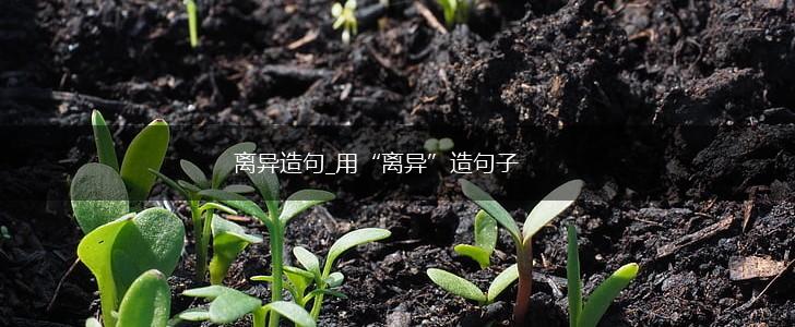 离异造句_用“离异”造句子,第1张