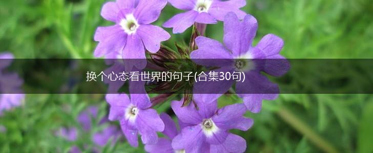 换个心态看世界的句子(合集30句),第1张