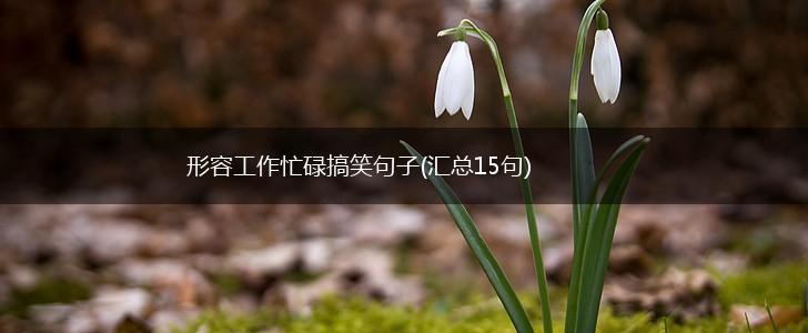 形容工作忙碌搞笑句子(汇总15句),第1张
