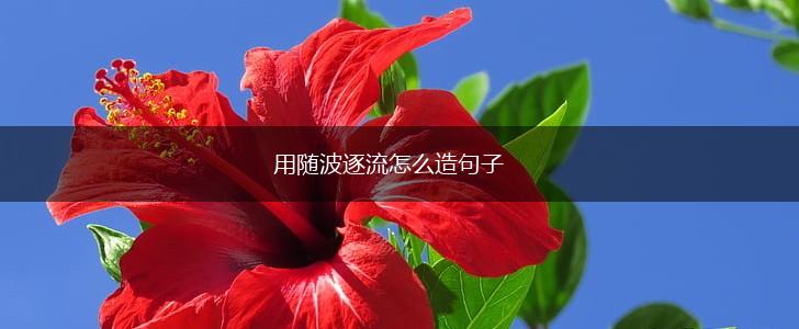 用随波逐流怎么造句子,第1张
