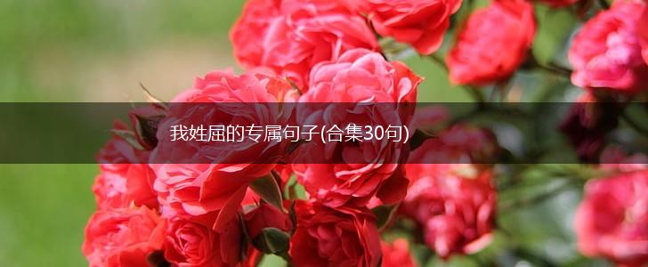 我姓屈的专属句子(合集30句),第1张