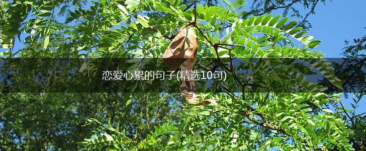 恋爱心累的句子(精选10句),第1张