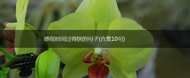 感叹时间过得快的句子(合集10句),第1张