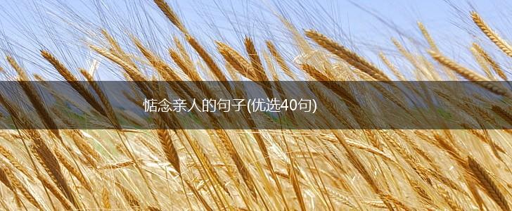 惦念亲人的句子(优选40句),第1张