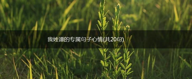 我姓谭的专属句子心情(共20句),第1张