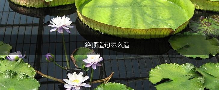 绝顶造句怎么造,第1张