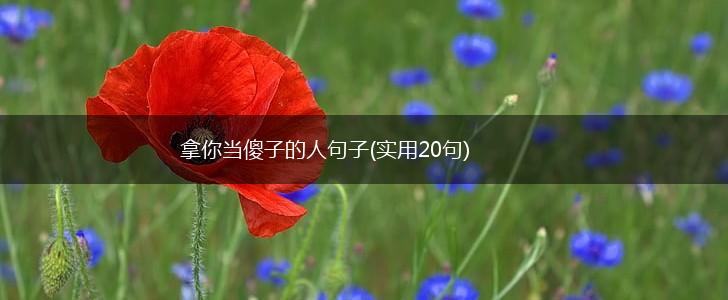 拿你当傻子的人句子(实用20句),第1张