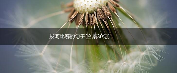 拔河比赛的句子(合集30句),第1张