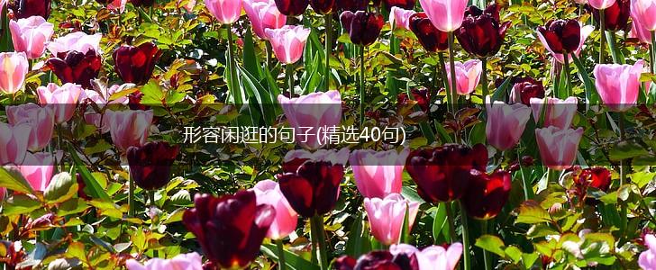 形容闲逛的句子(精选40句),第1张