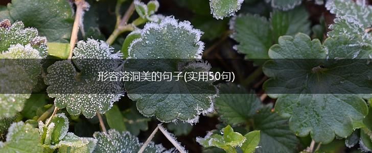 形容溶洞美的句子(实用50句),第1张