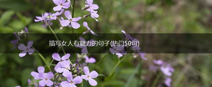 描写女人有魅力的句子(热门50句),第1张