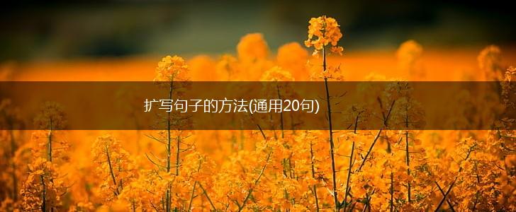 扩写句子的方法(通用20句),第1张