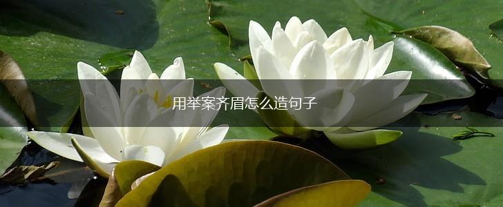 用举案齐眉怎么造句子,第1张