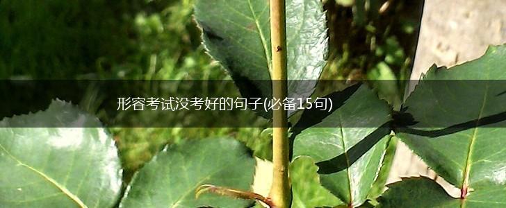 形容考试没考好的句子(必备15句),第1张