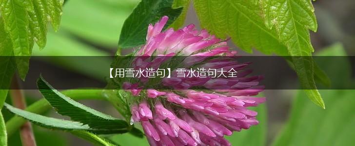 【用雪水造句】雪水造句大全,第1张