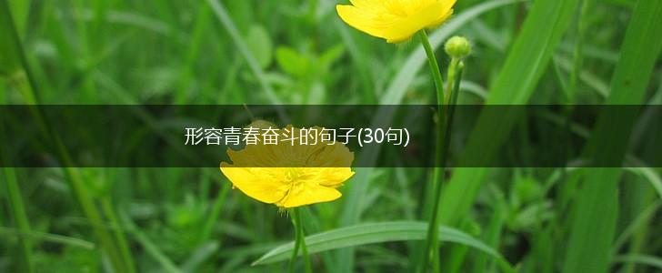 形容青春奋斗的句子(30句),第1张