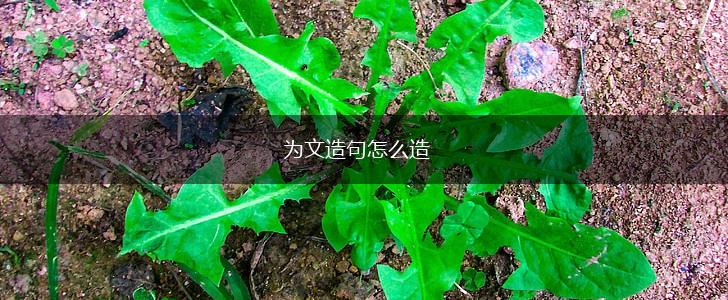 为文造句怎么造,第1张