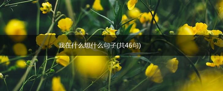 我在什么想什么句子(共46句),第1张