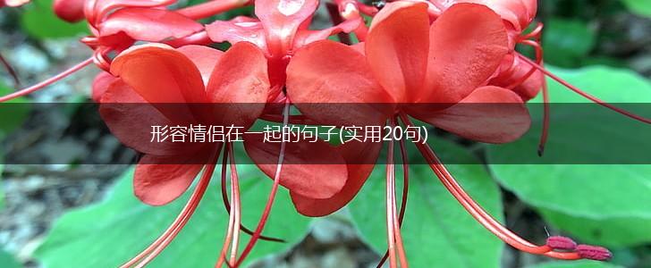 形容情侣在一起的句子(实用20句),第1张