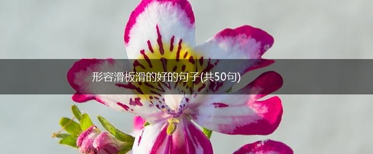 形容滑板滑的好的句子(共50句),第1张