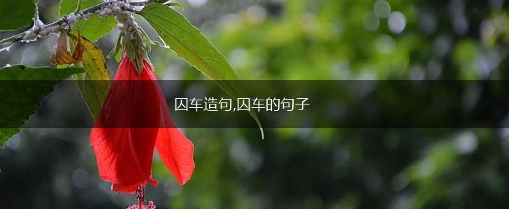 囚车造句,囚车的句子,第1张